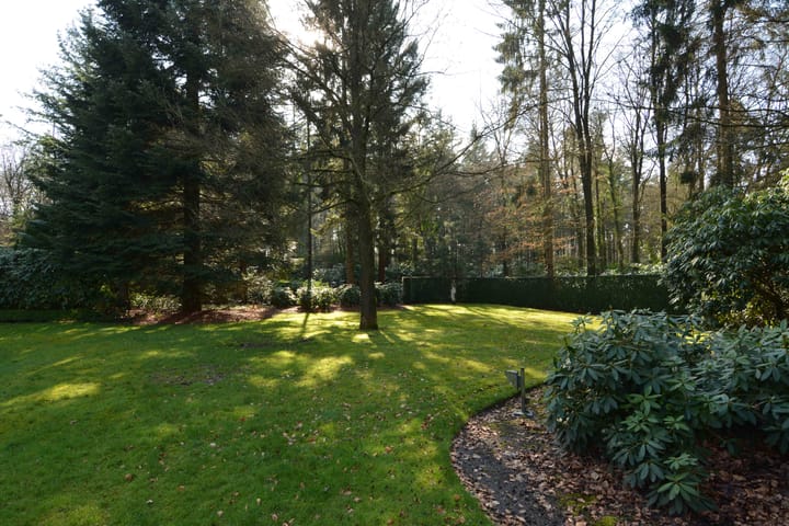 Foto 11 van Soerelseweg 4