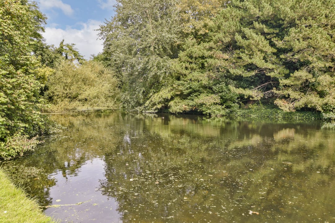 Foto 22 van Seinpoststraat 104-A