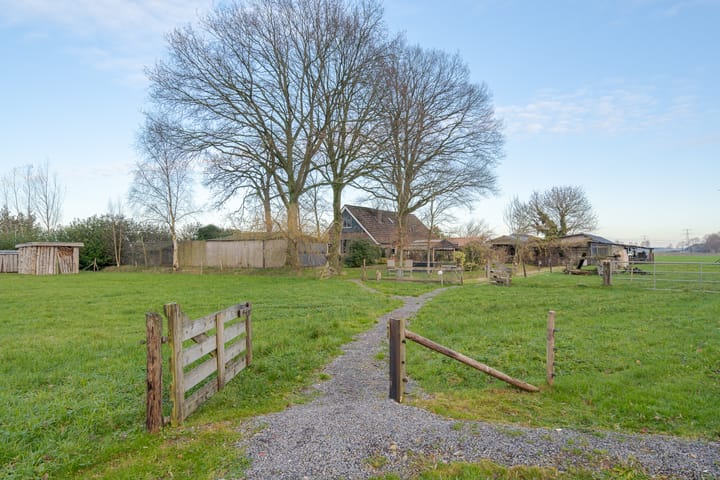 Foto 2 van Samuelswijk 2