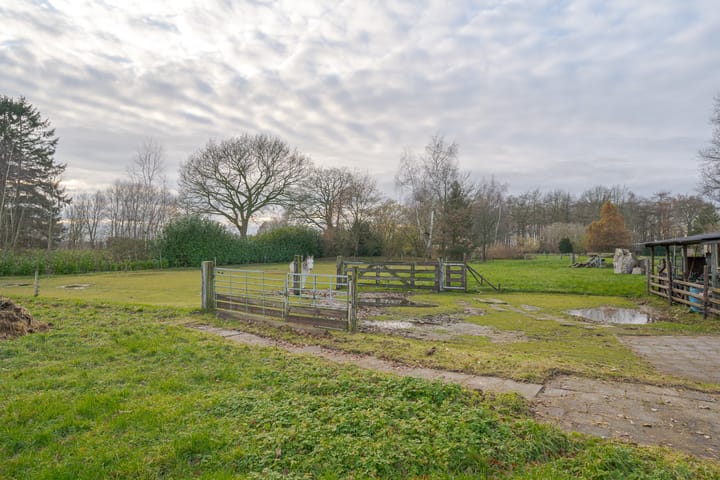 Foto 79 van Samuelswijk 2