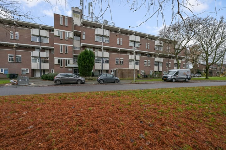 Foto 2 van Hollandsch Diep 113