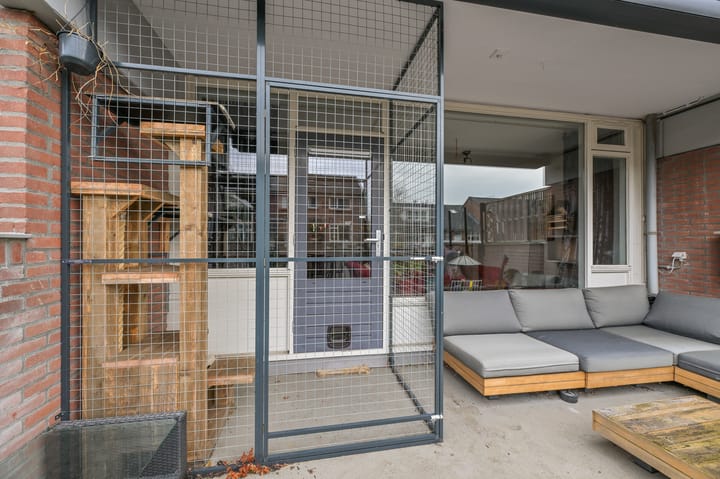 Foto 17 van Hollandsch Diep 113