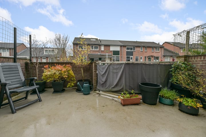 Foto 18 van Hollandsch Diep 113