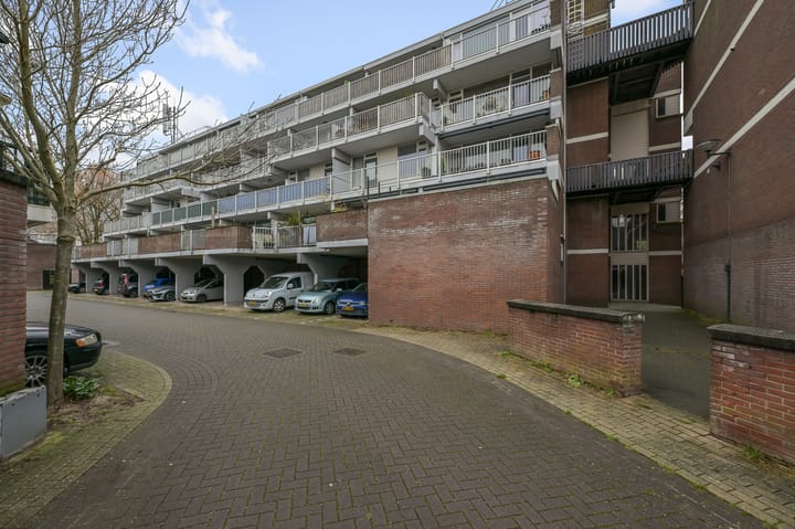 Foto 28 van Hollandsch Diep 113