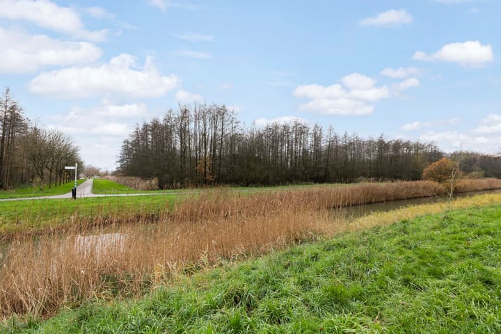 Foto 7 van Theo Thijssenhof 16