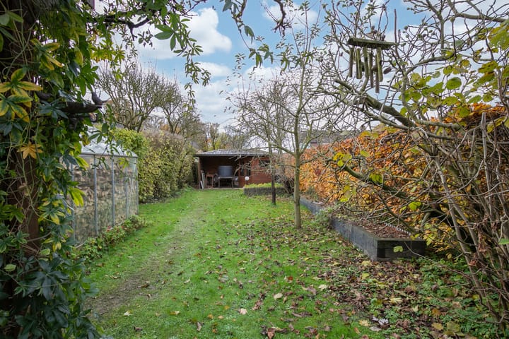 Foto 25 van van Loonstraat 3