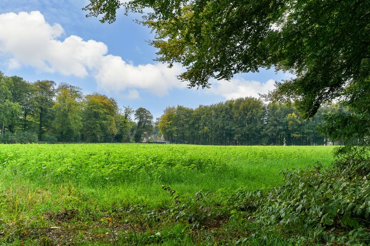 Bekijk foto 42 van Jan van Riebeeckweg 19