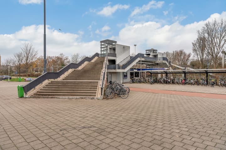 Foto 34 van Pruimengaarde 31