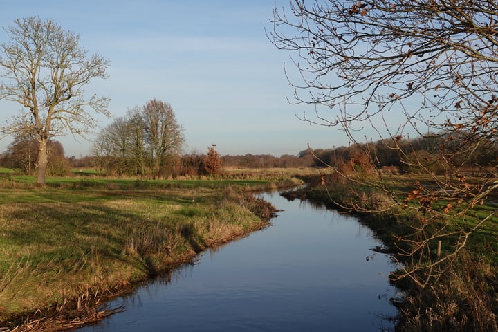 Bekijk foto 100 van Balloo 61