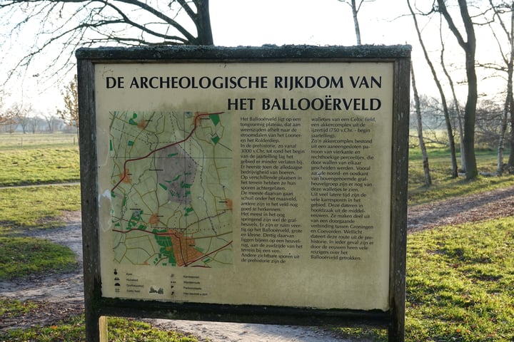 Bekijk foto 106 van Balloo 61