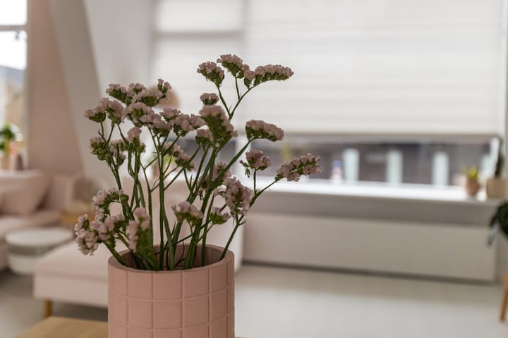 Foto 12 van Burgemeester de Bruïnelaan 68-B