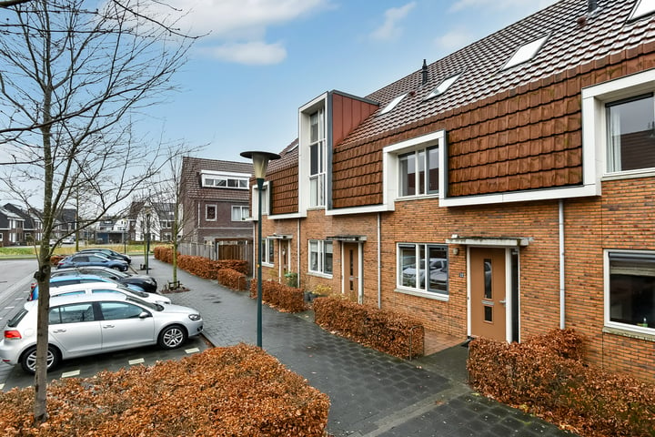 View photo 4 of Pijlkruid 22