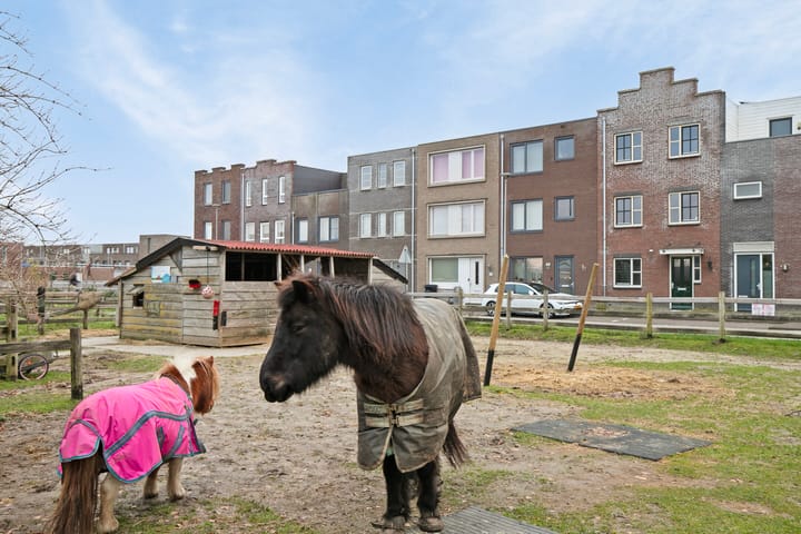 Foto 41 van Saturnussingel 501