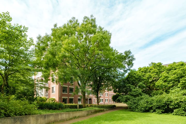 Foto 22 van Torckpark 28