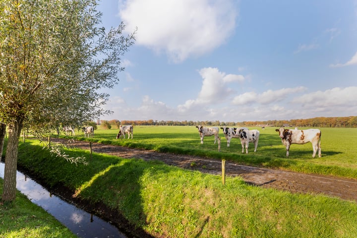 Bekijk foto 12 van Noordijkerveldweg 4