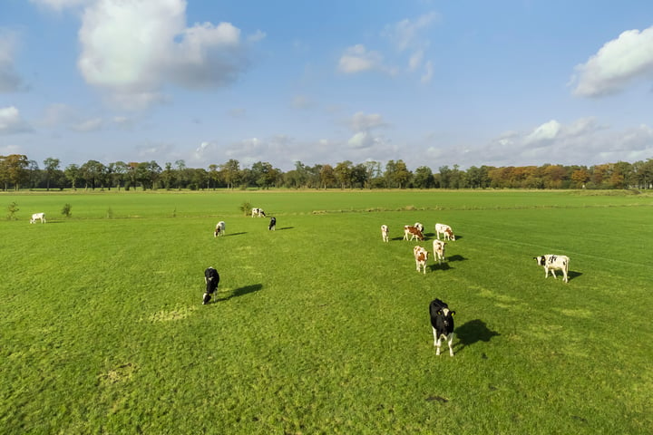 Bekijk foto 53 van Noordijkerveldweg 4