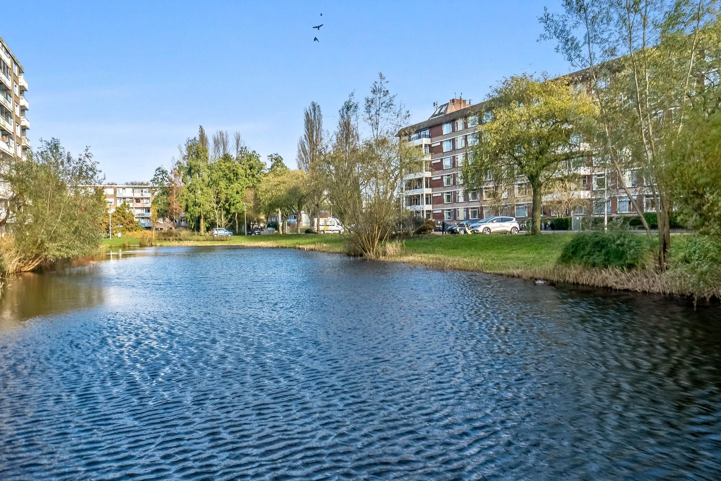 Foto 40 van Wagnerplein 100