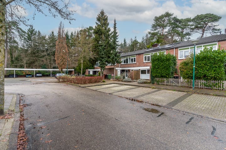 Foto 2 van Apollo 35