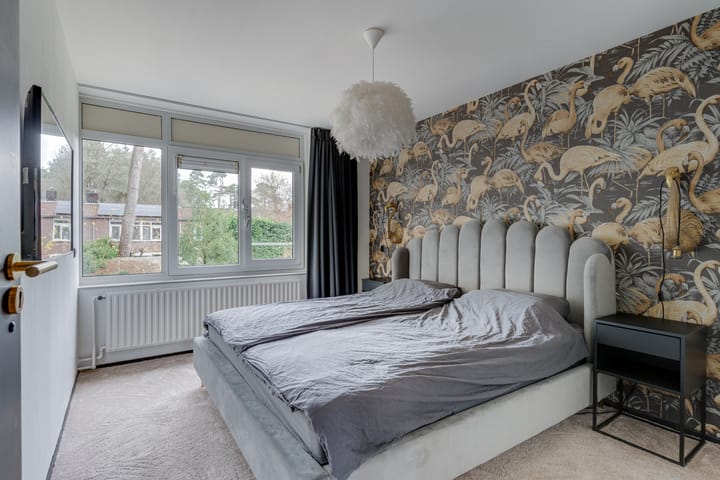 Foto 22 van Apollo 35