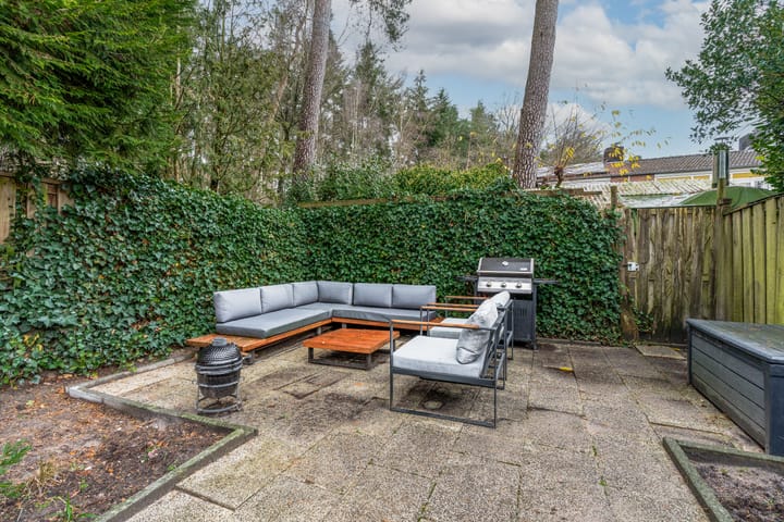 Foto 37 van Apollo 35