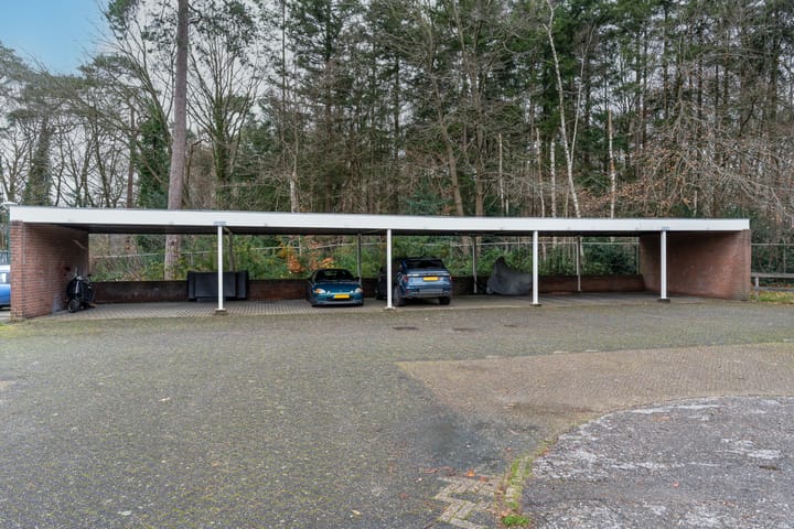 Foto 43 van Apollo 35