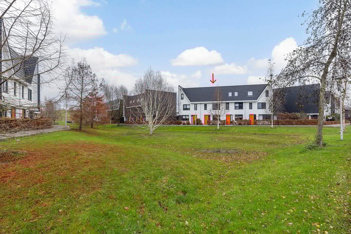 Foto 1 van Icarusblauwtje 84