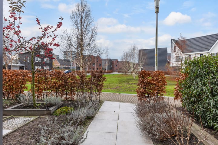 Foto 9 van Icarusblauwtje 84