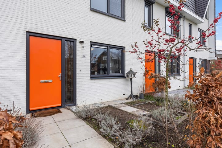 Foto 32 van Icarusblauwtje 84