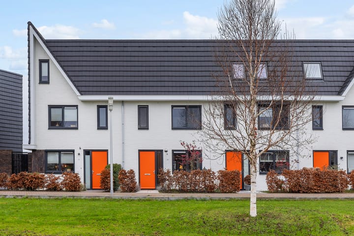 Foto 33 van Icarusblauwtje 84