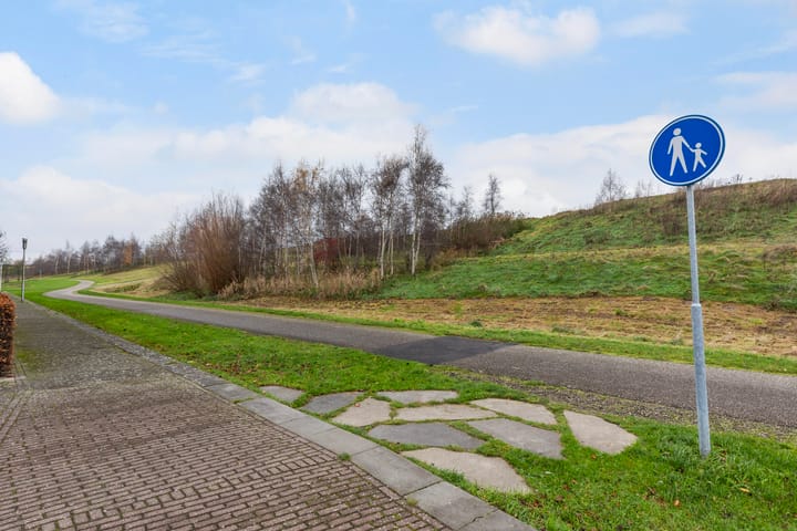 Foto 35 van Icarusblauwtje 84