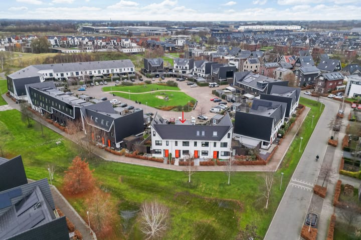 Foto 36 van Icarusblauwtje 84