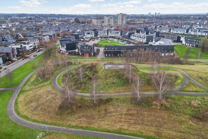 Foto 37 van Icarusblauwtje 84