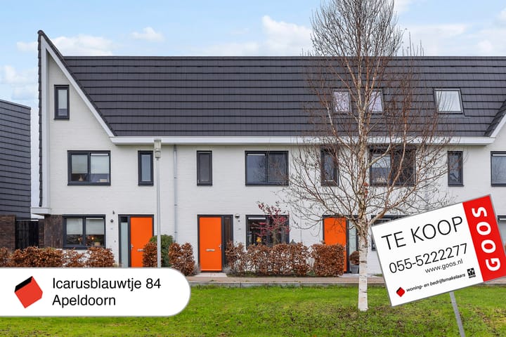 Foto 38 van Icarusblauwtje 84