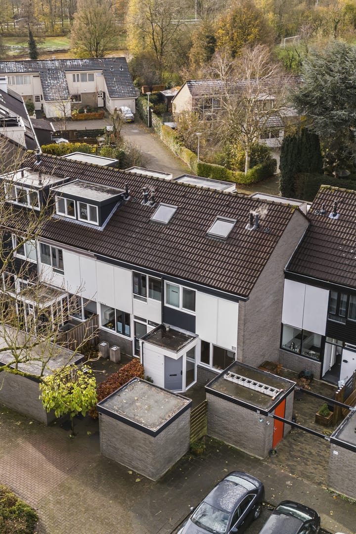 Foto 2 van Zwemmer 31