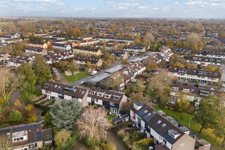 Foto 32 van Zwemmer 31