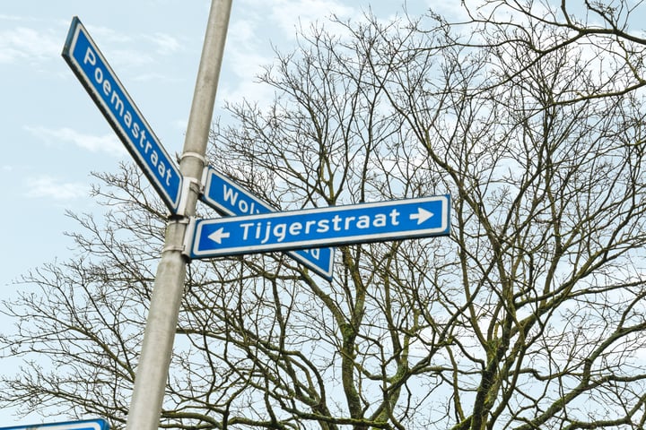 View photo 3 of Tijgerstraat 173