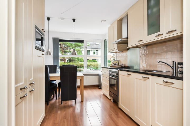 Foto 4 van Paganiniplantsoen 12