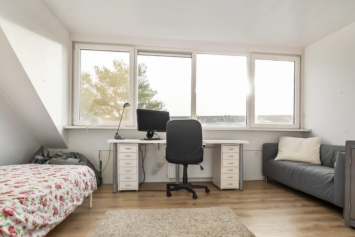 Foto 5 van Paganiniplantsoen 12