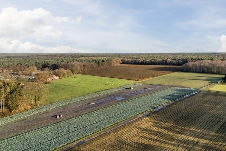 Foto 60 van Putseweg 6