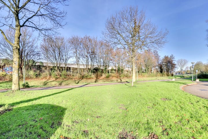 Foto 41 van Graveerstift 83