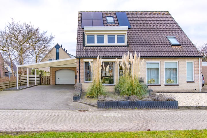 Foto 3 van Sleedoorn 1