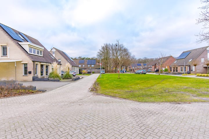 Foto 6 van Sleedoorn 1