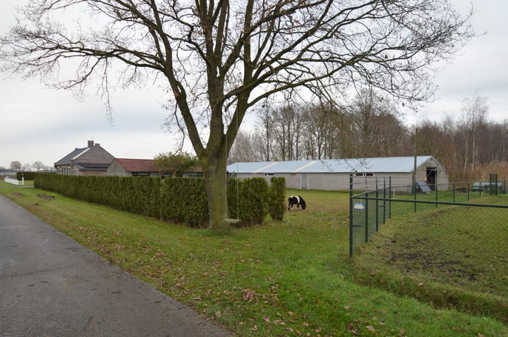 Foto 24 van Kleine Heitrak 37