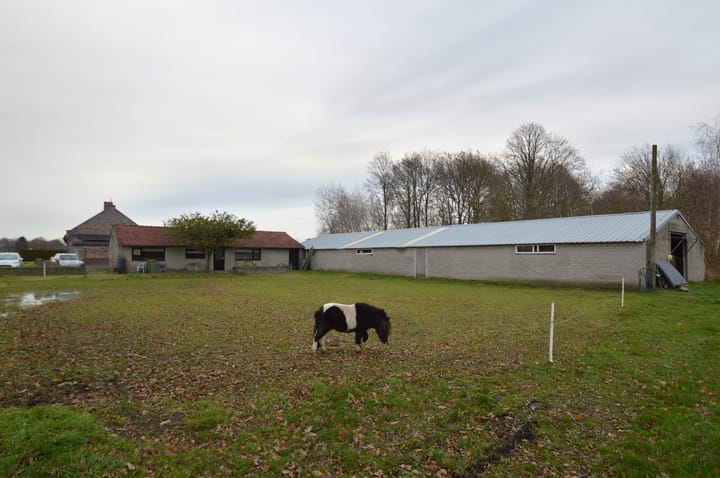 Foto 25 van Kleine Heitrak 37