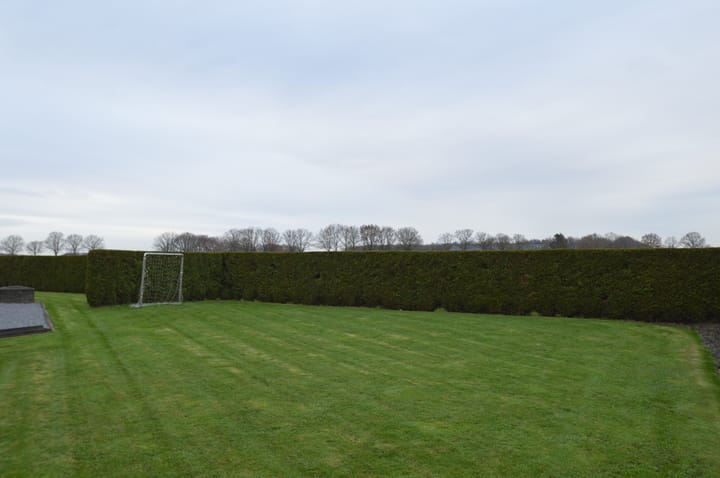 Foto 34 van Kleine Heitrak 37