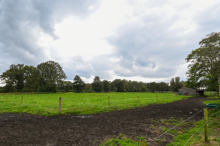 Bekijk foto 40 van Kruispeelweg 23