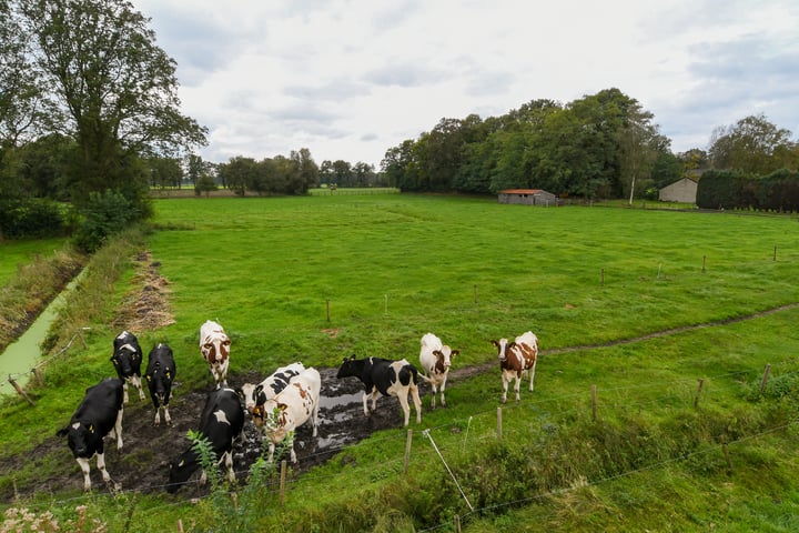 Bekijk foto 44 van Kruispeelweg 23