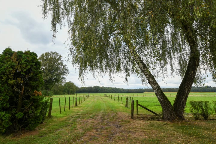 Bekijk foto 47 van Kruispeelweg 23