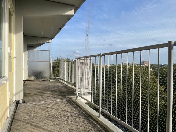 Foto 15 van Marsdiep 221