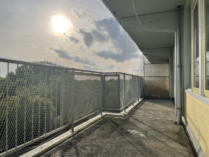 Foto 16 van Marsdiep 221